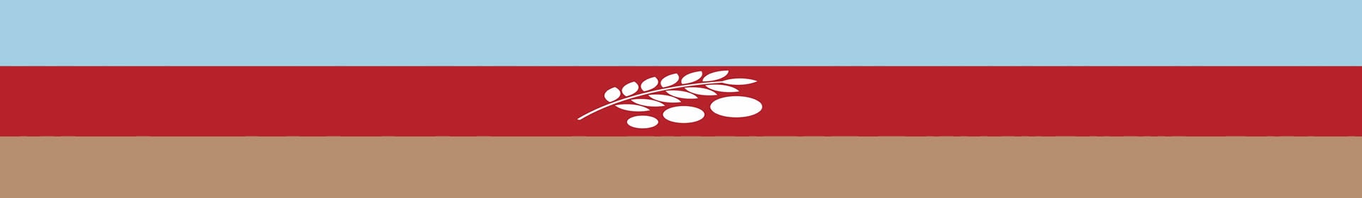 Nuestra Bandera