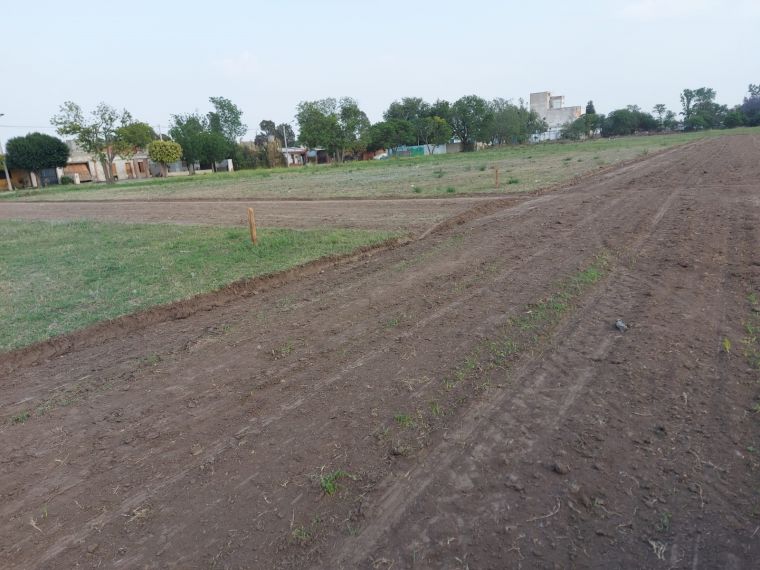 Arrancó el Loteo para los Adherentes del Plan 