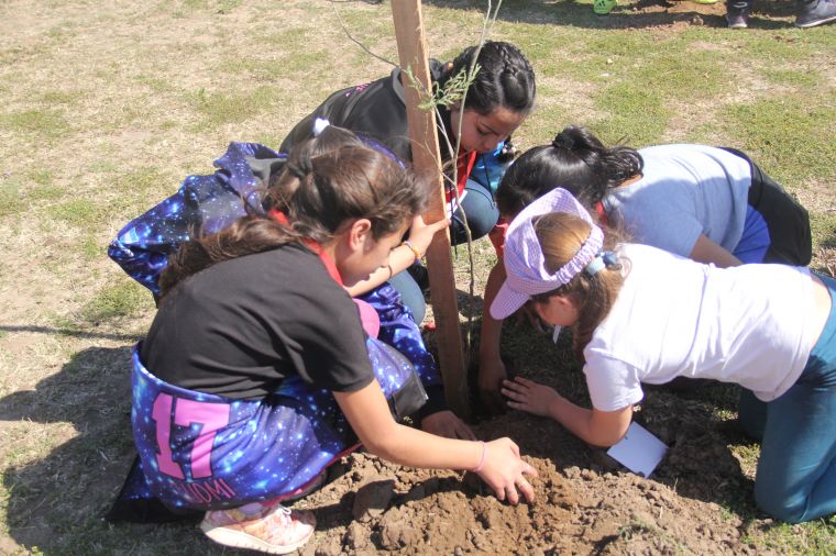 Monte Cristo Verde: Jornadas de Forestación Nativa