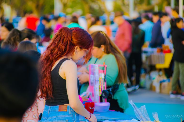 Feria de Artesanos y Americana en Monte Cristo