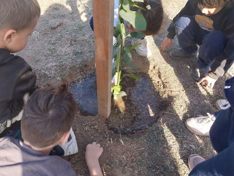 Día de Plantación en el Jardín 25 de Mayo 