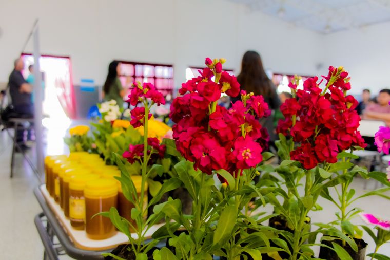 Día del Árbol en Monte Cristo