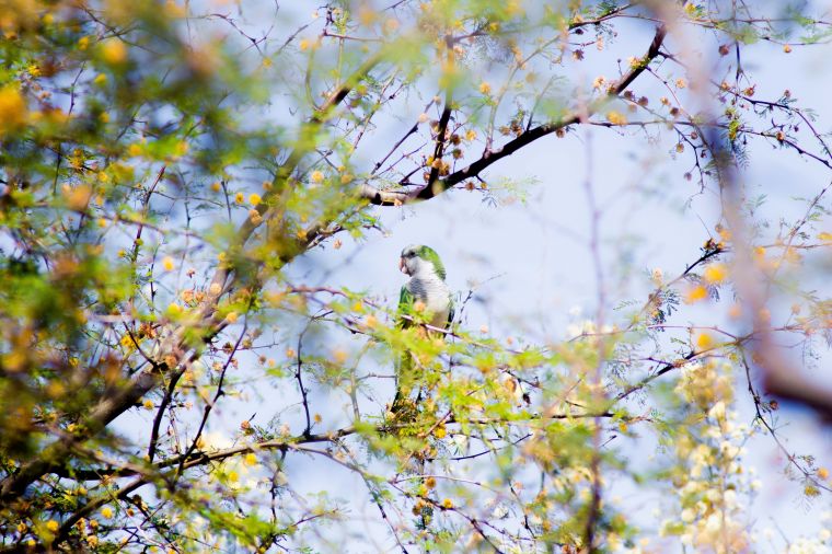 Continuamos con el Circuito Ambiental