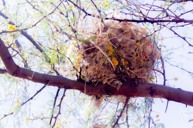 Ecosistema del Parque Mitre