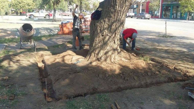 Conozcamos el Parque Central Belgrano