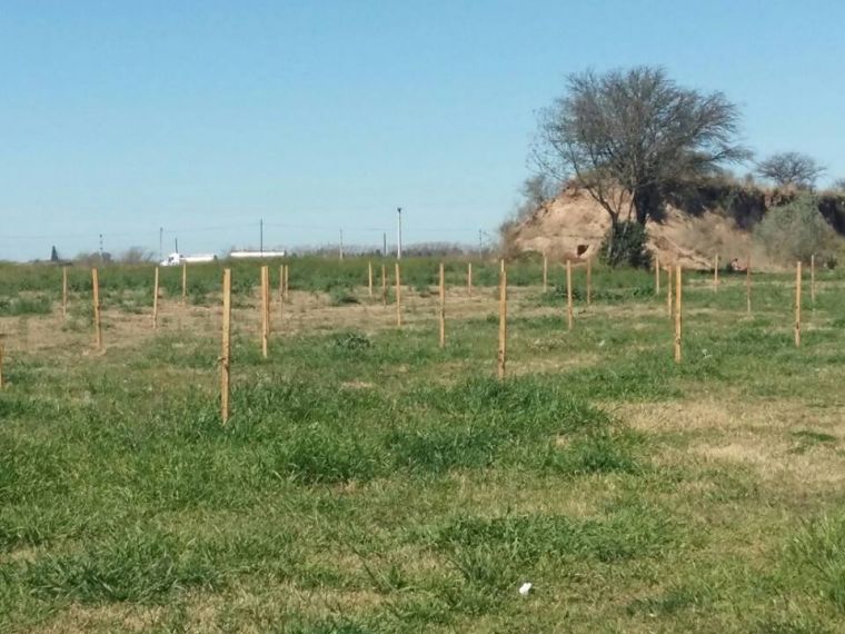 Conozcamos el Parque Mitre