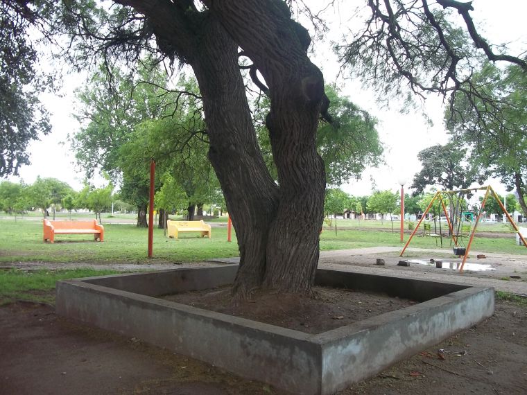 Avanza la construcción de Canteros en el Parque Central Belgrano