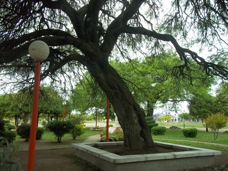 Avanza la construcción de Canteros en el Parque Central Belgrano