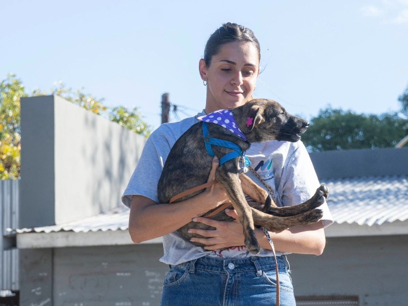 El Desfile de Mascotas celebró su 16° edición en Monte Cristo