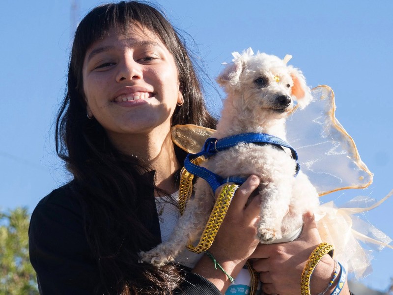 El Desfile de Mascotas celebró su 16° edición en Monte Cristo