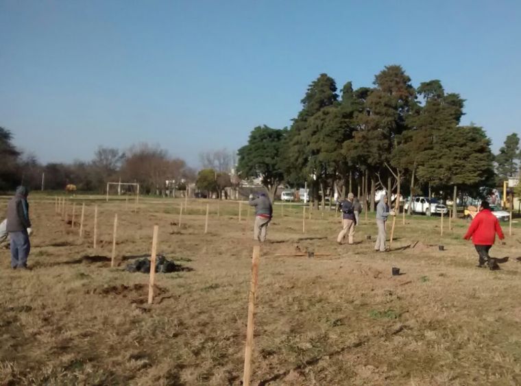Continúan tareas de reforestación: Primera Etapa Parque Mitre