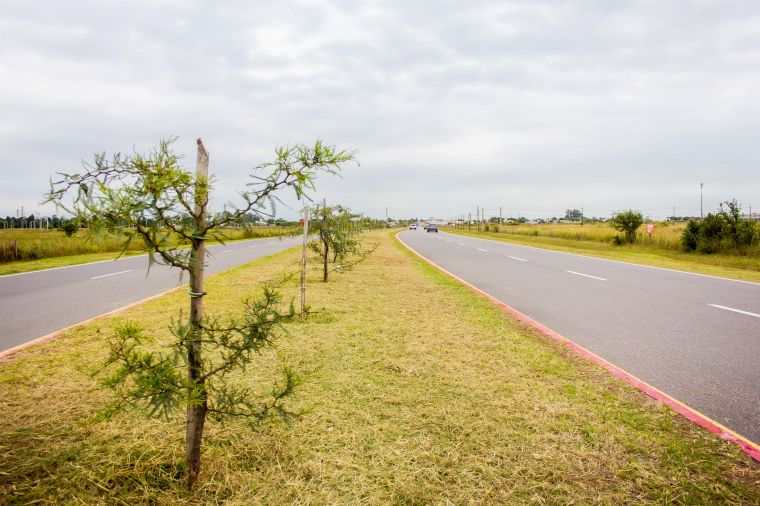 Tareas de mantenimiento en accesos