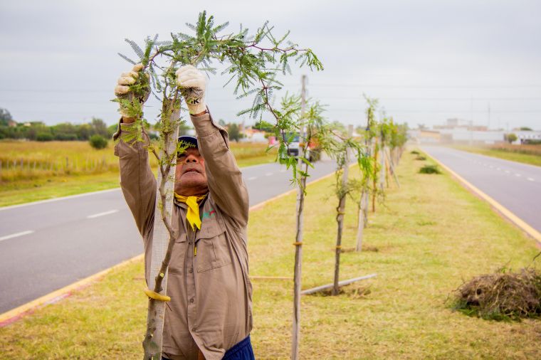 Tareas de mantenimiento en accesos