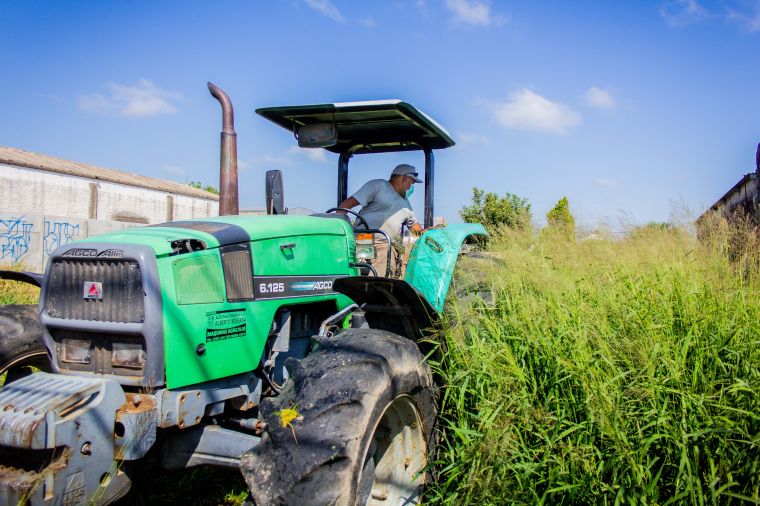 Limpieza y desmalezado de lotes