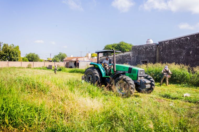 Limpieza y desmalezado de lotes