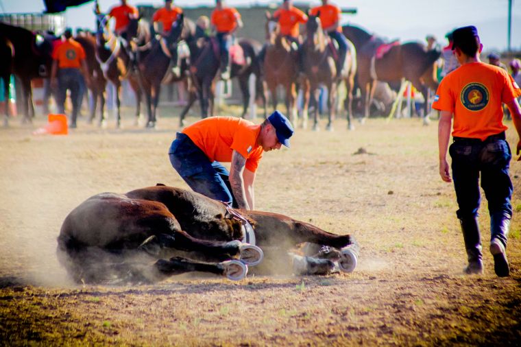 Fiesta Gaucha del 26° Desfile Cívico y Militar 