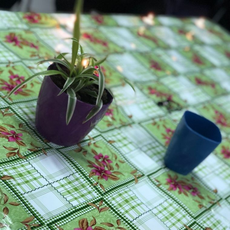 Primer Encuentro Cipadi