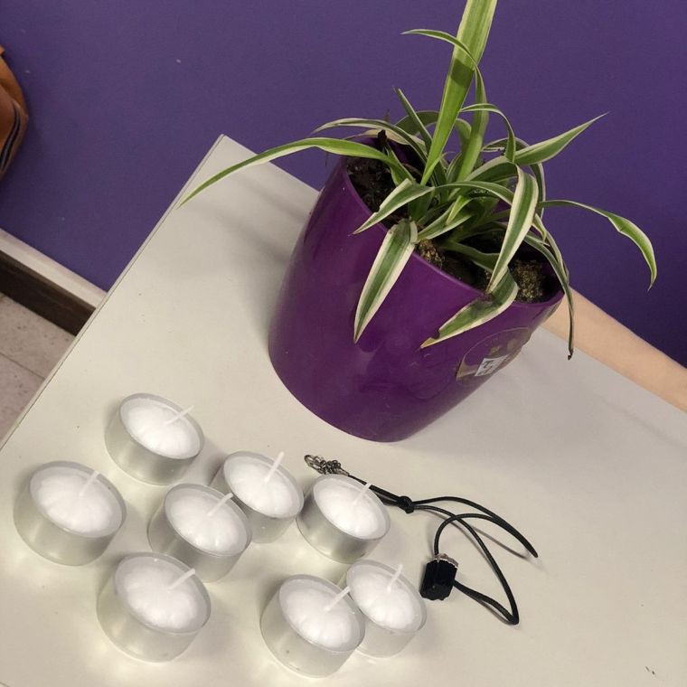 Primer Encuentro Cipadi