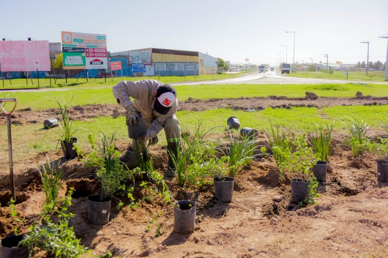 Monte Cristo cada día más lindo