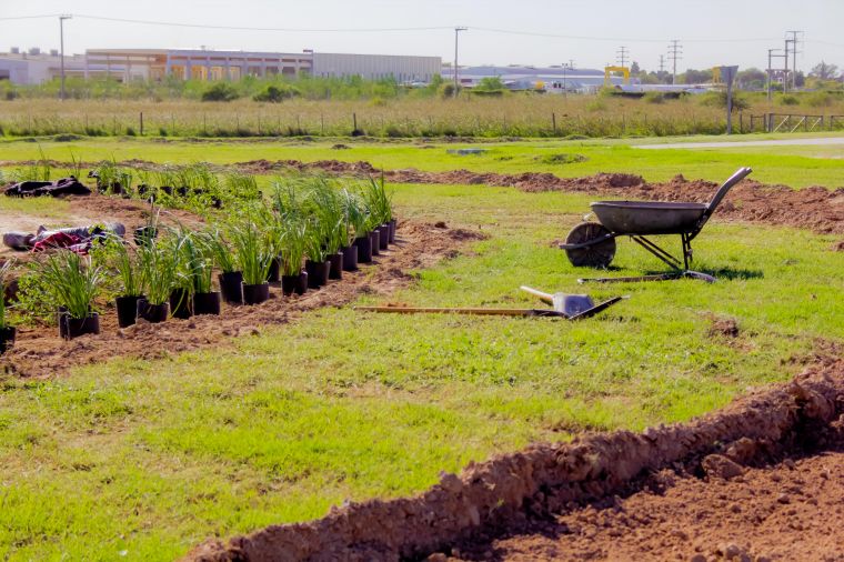 Monte Cristo cada día más lindo
