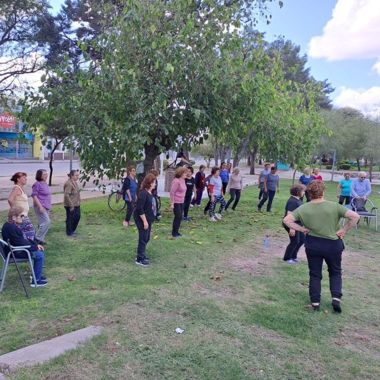 Tai Chi para Adultos Mayores