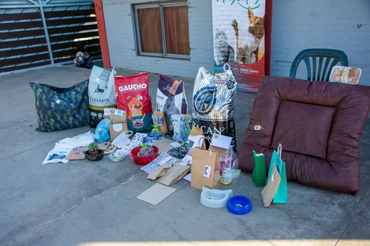 Así pasó el 12° Desfile de Mascotas