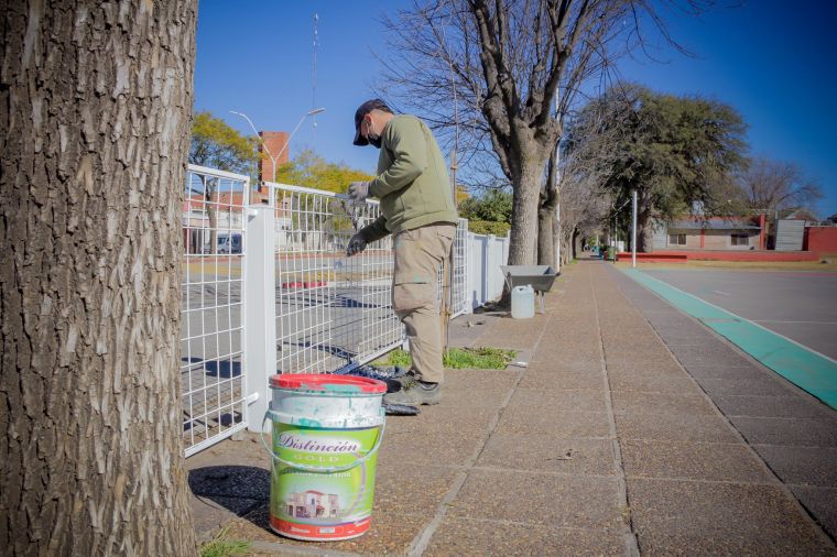 Revalorizando nuestros espacios verdes